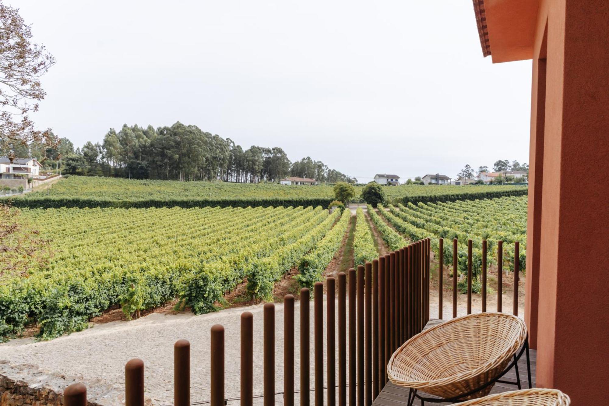 Monverde - Wine Experience Hotel - By Unlock Hotels Amarante Kültér fotó